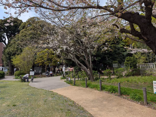 松陰神社横芝生の写真4