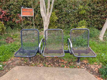 松陰神社横芝生の写真3