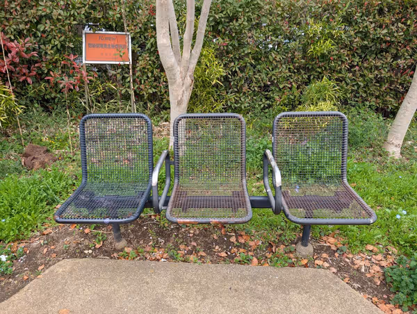 松陰神社横芝生の写真3