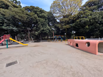 世田谷区立若林公園の写真3