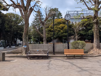 世田谷区立若林公園の写真4