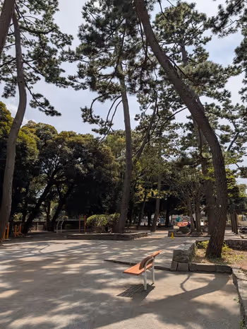 世田谷区立若林公園の写真1