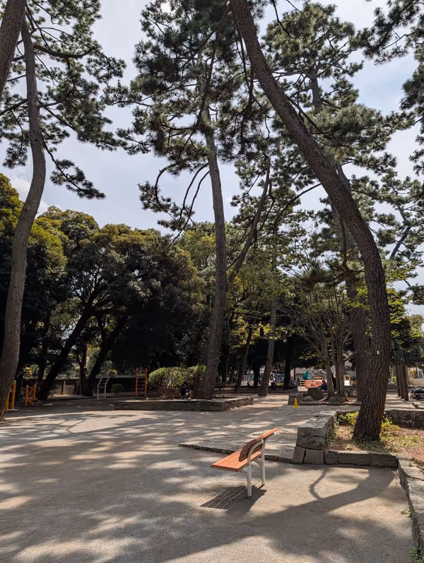 世田谷区立若林公園の写真1