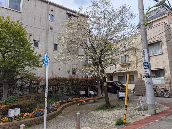 世田谷4-16広場の写真1