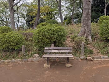 世田谷城阯公園の写真3