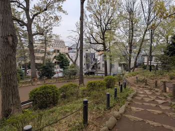 世田谷城阯公園の写真4