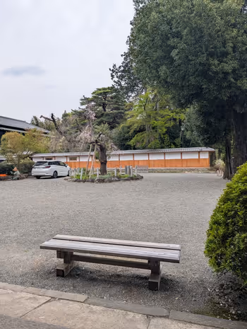 豪徳寺境内の写真3