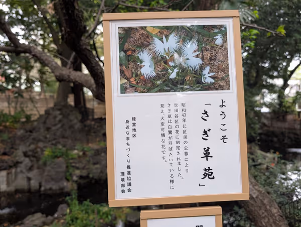 世田谷八幡宮 さぎ草苑の写真5