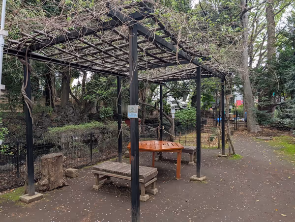 世田谷八幡宮 さぎ草苑の写真2