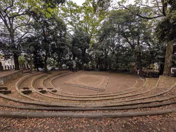 世田谷八幡宮 さぎ草苑の写真8