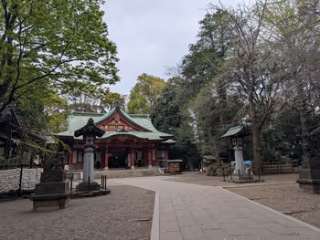 世田谷八幡宮 さぎ草苑の写真6