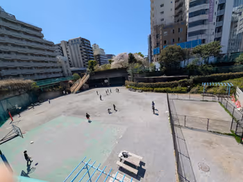 築地川公園 多目的広場の写真1