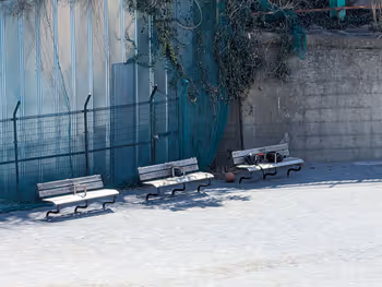 築地川公園 多目的広場の写真4