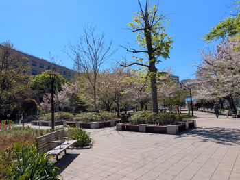築地川公園 デイキャンプ場側の写真8