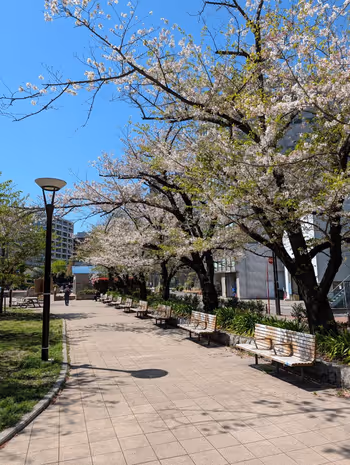 築地川公園 デイキャンプ場側の写真1