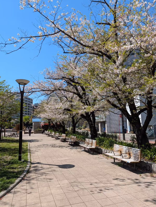 築地川公園 デイキャンプ場側の写真1