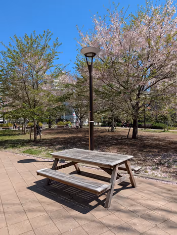 築地川公園 デイキャンプ場側の写真3