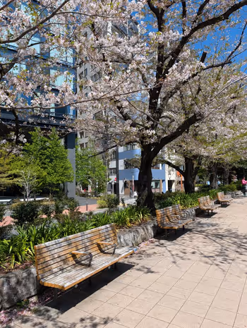 築地川公園 デイキャンプ場側の写真4