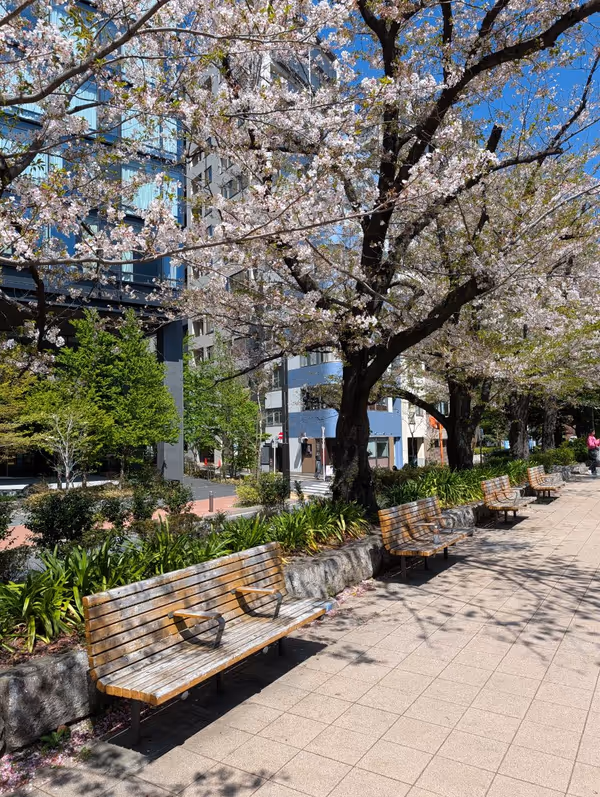 築地川公園 デイキャンプ場側の写真4