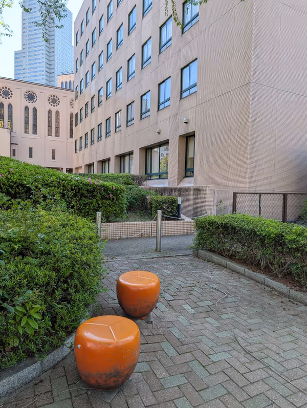 聖路加国際大学 公園側歩道の写真4