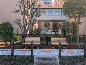 聖路加国際大学 公園側歩道の写真2