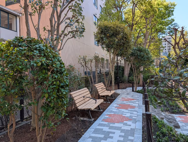 聖路加国際大学 公園側歩道の写真1