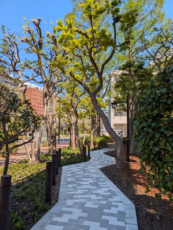 聖路加国際大学 公園側歩道の写真5