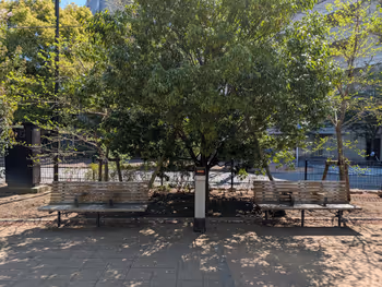 築地川公園南側の写真6