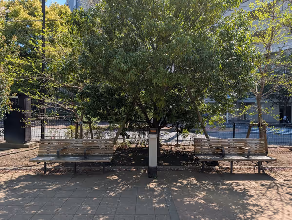 築地川公園南側の写真6