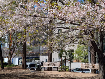 築地川公園南側の写真5