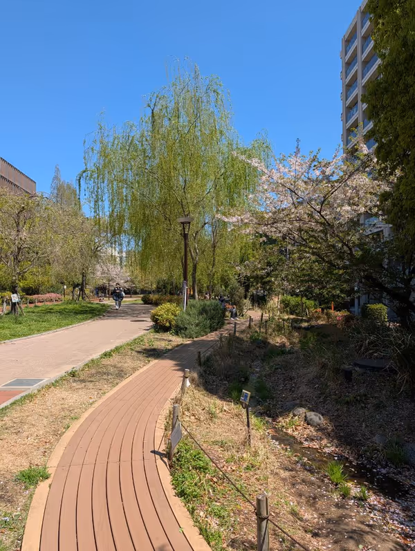 築地川公園南側の写真3