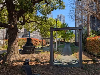 あかつき公園冒険広場の写真4