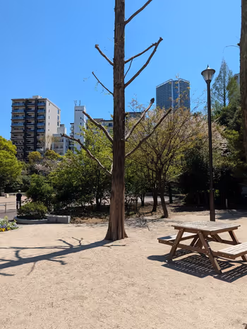 あかつき公園の写真8