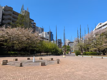 あかつき公園の写真2