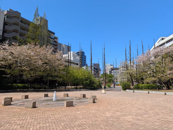 あかつき公園の写真2