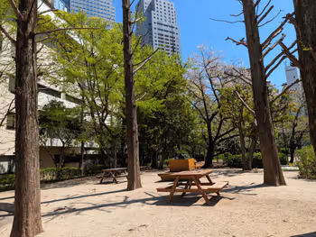 あかつき公園の写真7