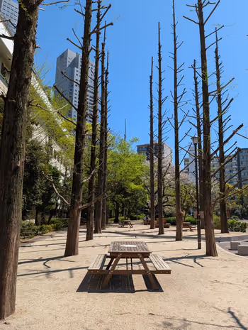 あかつき公園の写真1