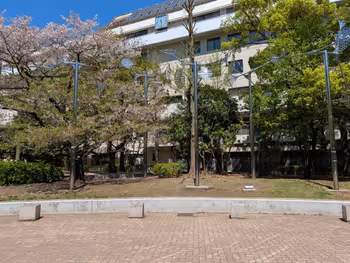 あかつき公園の写真4