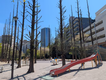 あかつき公園の写真6