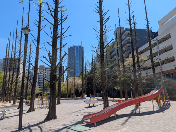 あかつき公園の写真6