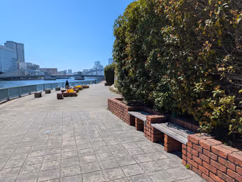 隅田川テラス ポンプ場付近の写真8