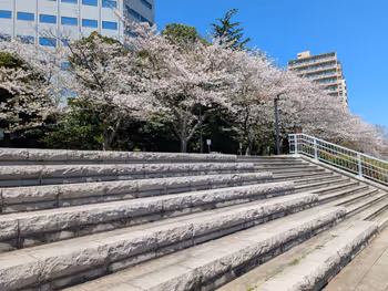 聖路加ガーデンステップの写真3