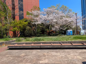 はとば公園の写真2