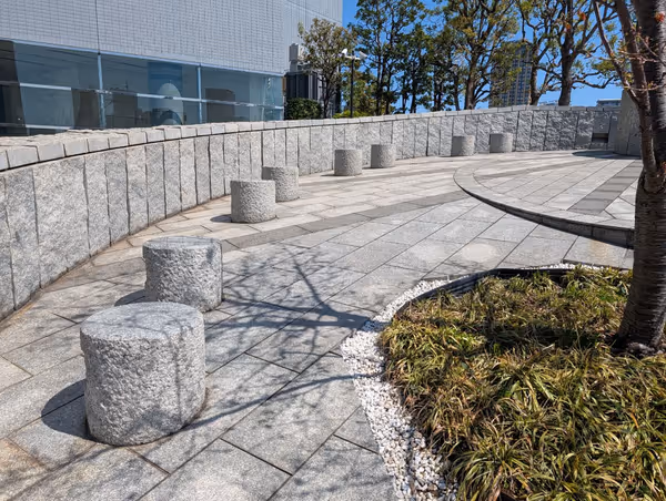 巻貝と種の広場の写真1