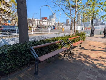 中央市場前交差点の写真1