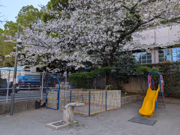 市場橋公園の写真5