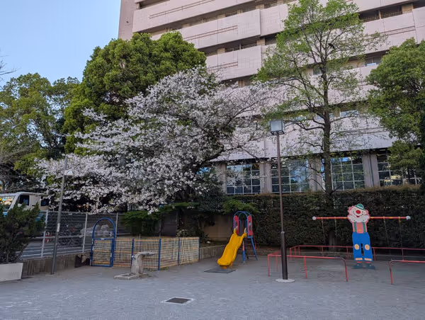 市場橋公園の写真2