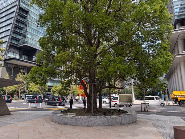 大手町駅A5出入口付近の写真4