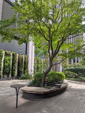 ホトリア広場の写真1