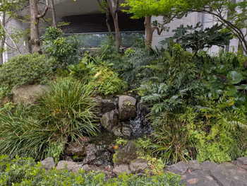 ホトリア広場の写真4